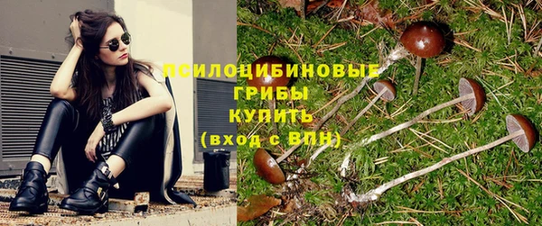 не бодяженный Пересвет