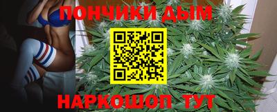 прущие грибы Балаково
