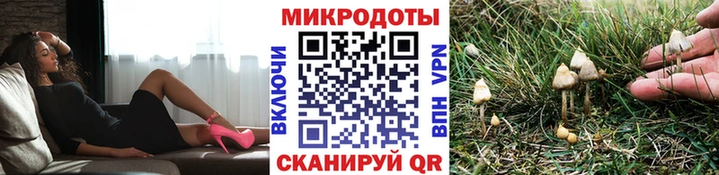 Псилоцибиновые грибы MAGIC MUSHROOMS  площадка наркотические препараты  Владимир 