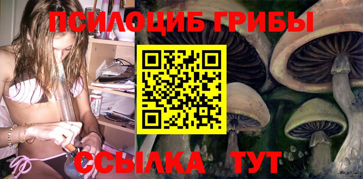 Владимир  Галлюциногенные грибы мицелий  Вход с VPN 