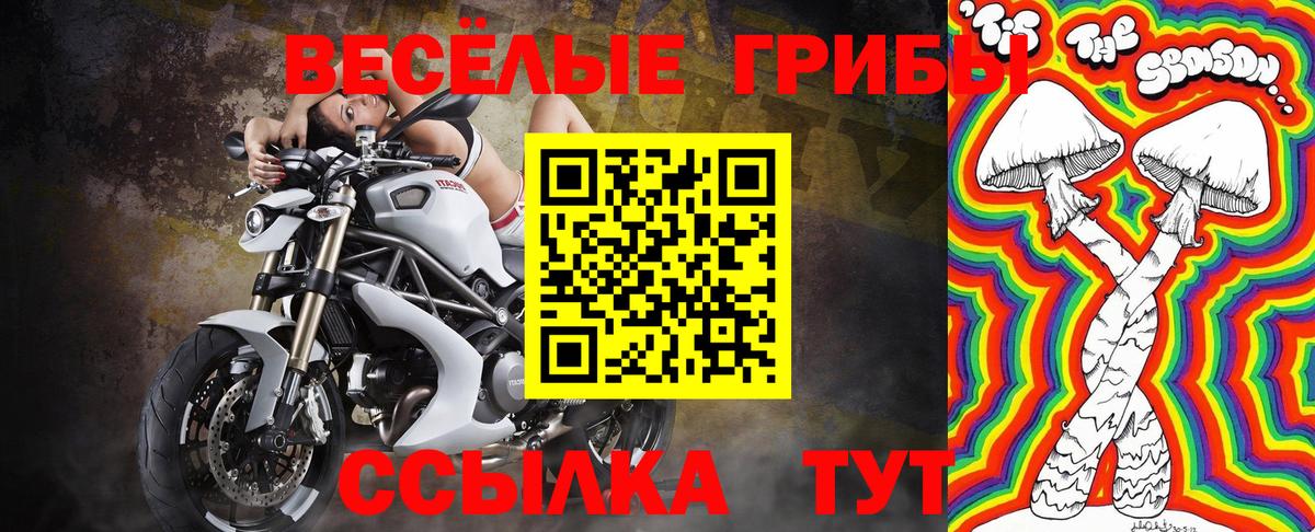 Псилоцибиновые грибы мухоморы  Владимир  Галлюциногенные грибы мицелий 