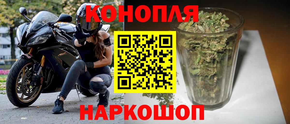 Каннабис семена  Канабис SATIVA & INDICA  Владимир  Бошки Шишки THC 21%  Марихуана Amnesia 